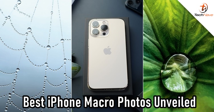 Here are the top 10 best iPhone 13 Pro series macro photos chosen by Apple