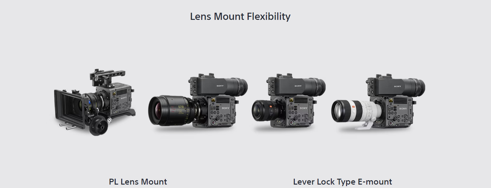 Sony Burano camera release - New camera features 8.6K Full-Frame sensor