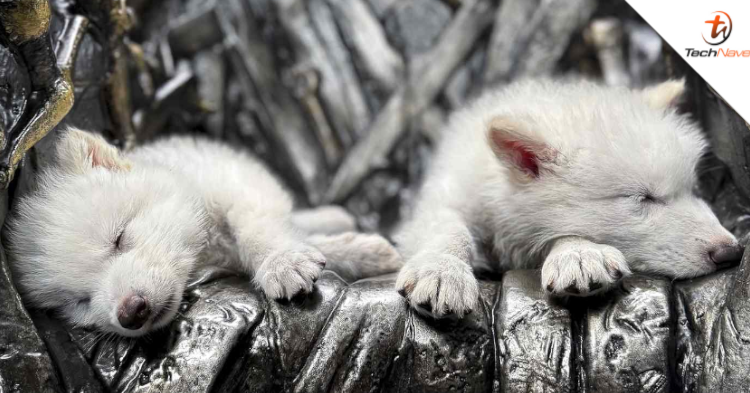 Scientists claim they have resurrected an extinct animal from 10000 BC