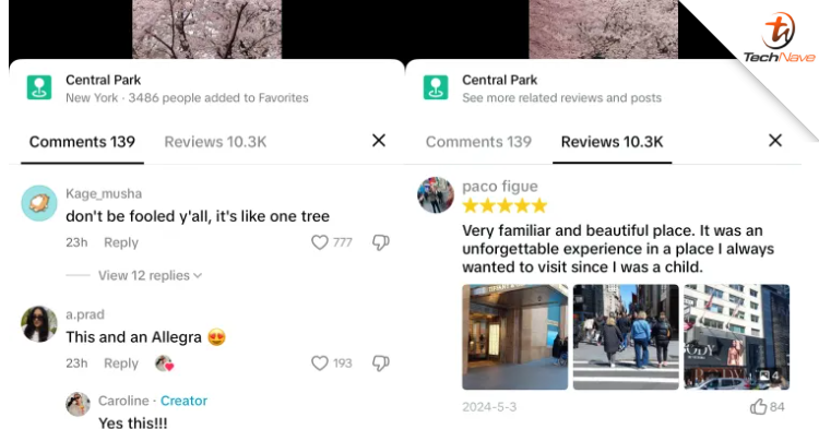 TikTok could launch a new “Reviews” feature on its platform