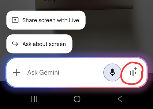 geminilive_icon.jpg