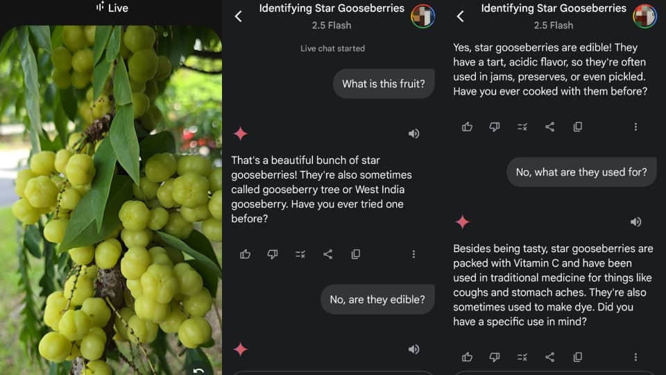 food_1.jpg