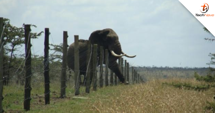 UTP launched ELEFence - A new way of preventing elephant casualties on the road