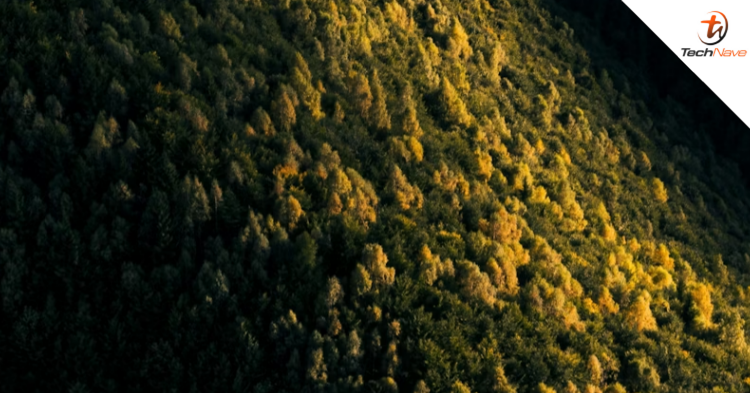 Northvolt files for bankruptcy - Over 5000 employees laid off