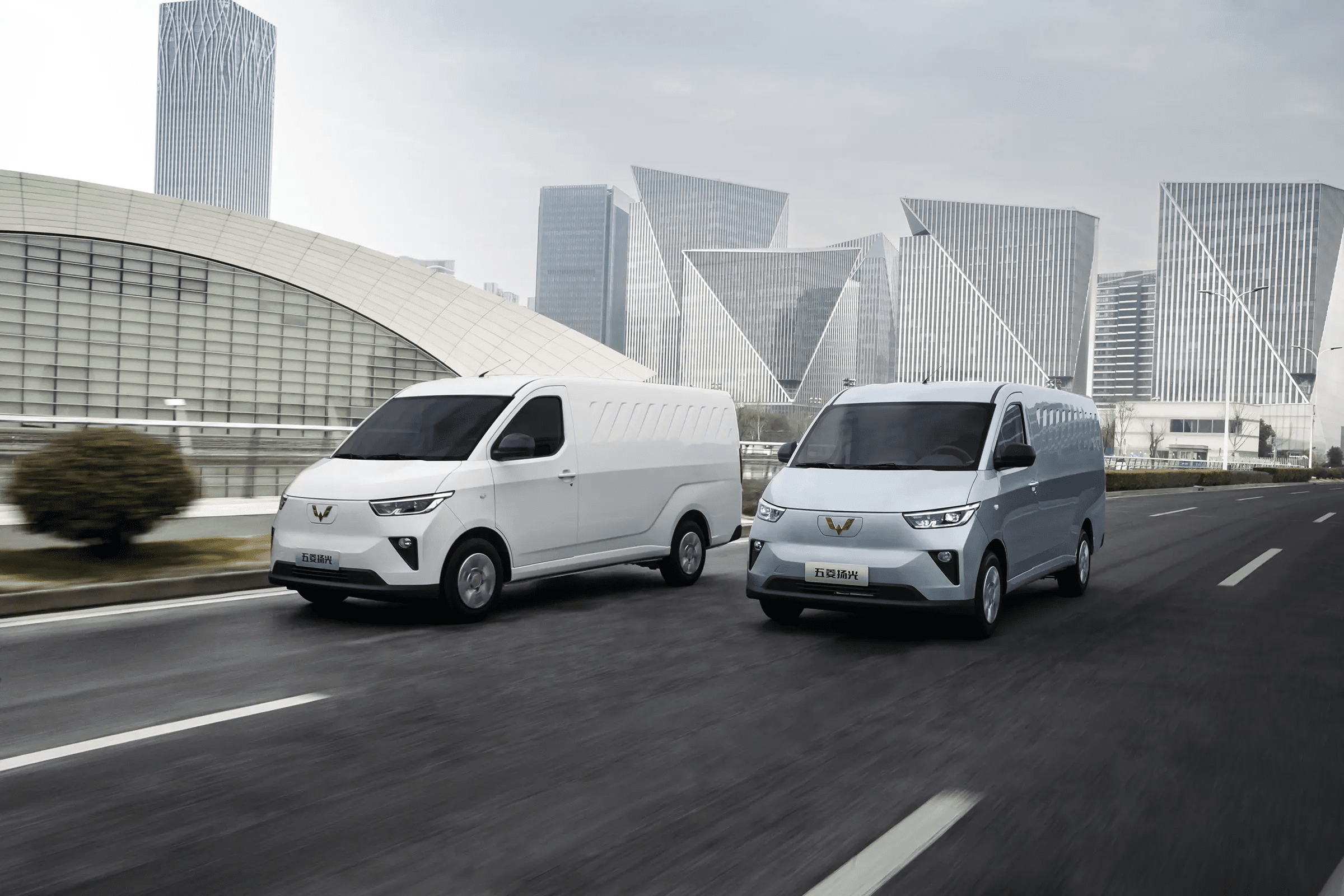 wuling-yangguang-cargo-van.png