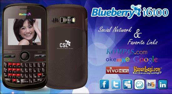 csl-blueberry-i6100.jpg