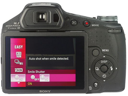Sony Cyber-shot DSC-HX100V.jpg