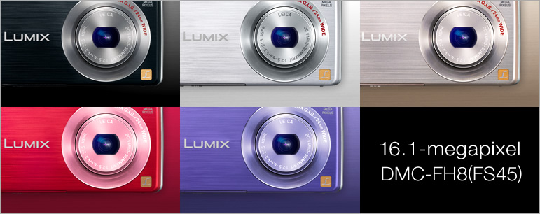 Panasonic Lumix DMC-FH8-2.jpg