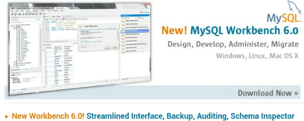 Oracle Release MySQL Workbench 6.0