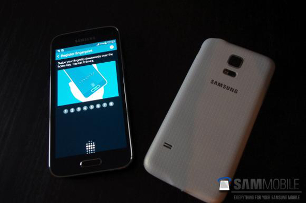 Samsung Galaxy S5 mini leak 3.jpg