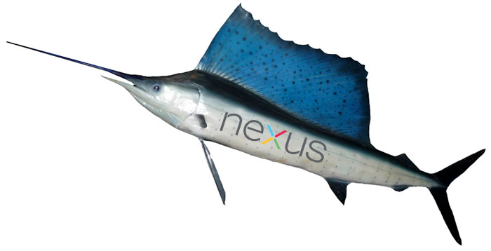 Rumours: Next Nexus codenamed Sailfish specs seen online