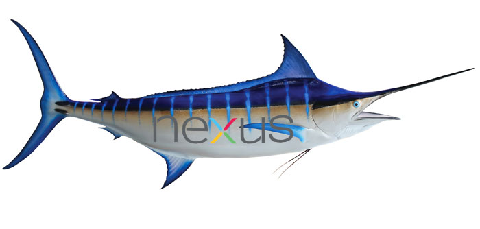 Rumours: Specs for the HTC-build Nexus “Marlin” appears online