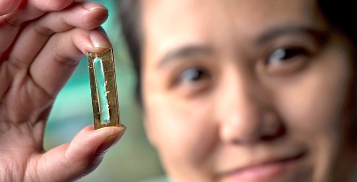 4-gold-battery.jpg