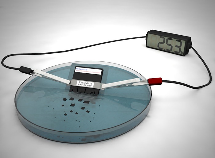 5+Iowa-State-dissolving-battery.jpg