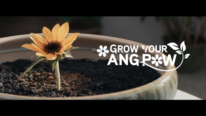 Maxis introduces Plant-a-Blessing Ang Pow that lets you grow a plant with it