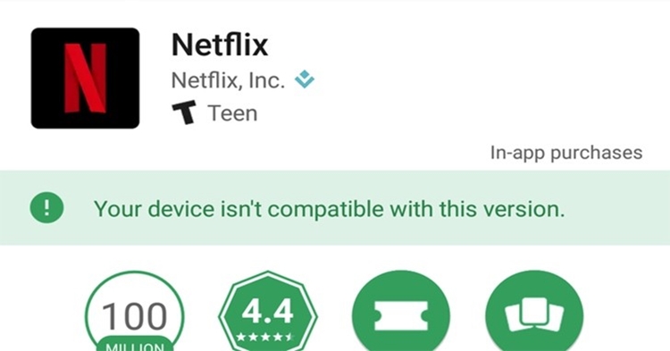 netfuxTN.jpg