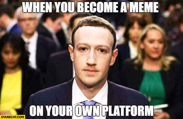 mark-zuckerberg-when-you-become-a-meme-on-your-own-platform.jpg