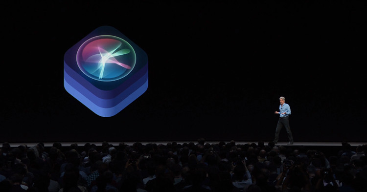 Apple 4.jpg