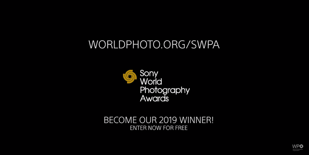 sonyphoto.png