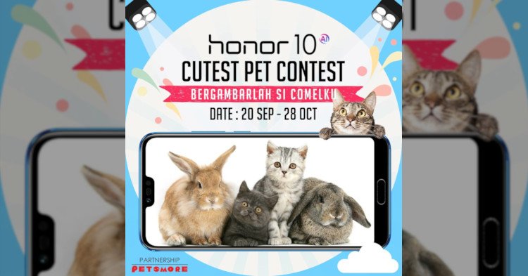Win an Honor 10 by submitting cute pictures of your pet courtesy of Honor Malaysia