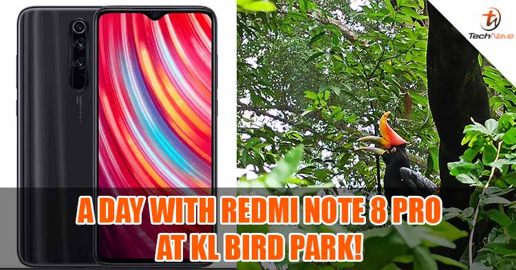 Our Redmi Note 8 Pro camera hands-on experience at the KL Bird Park!