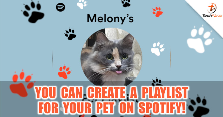 You can create a Spotify playlist for your pet!