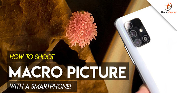 How to shoot stunning Macro Pictures with the Samsung Galaxy A51!