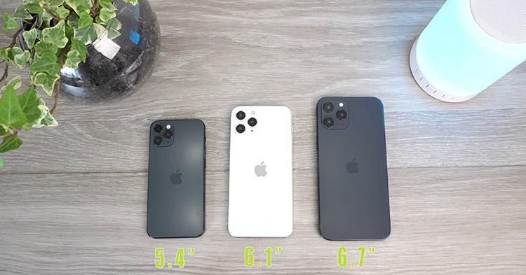 iphone 12 sizes.jpg