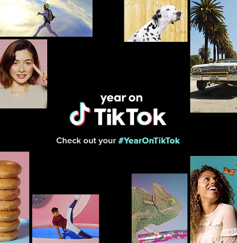 yearontiktok.jpg