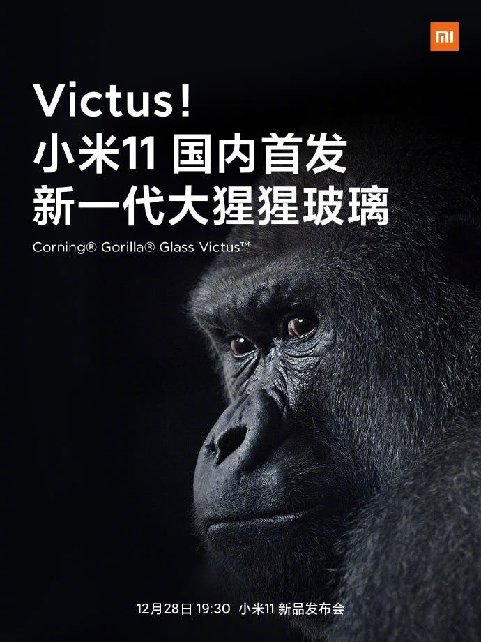 Xiaomi Mi 11 Gorilla Glass 7 1.jpg