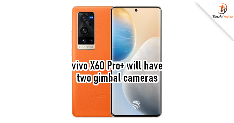 vivo.jpg