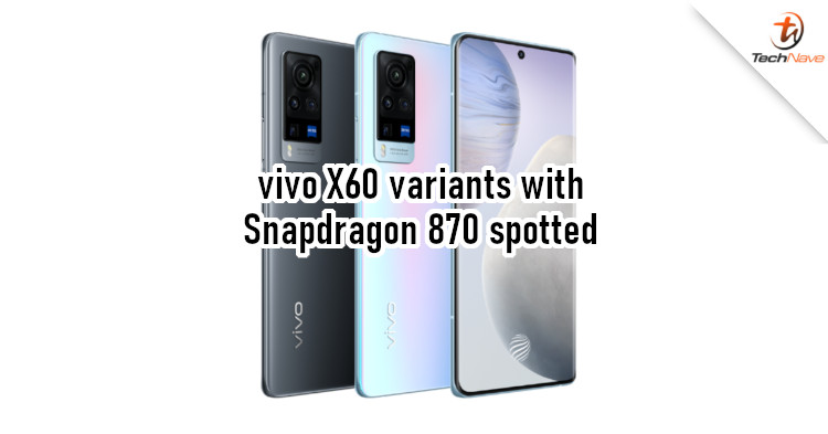 vivo.jpg