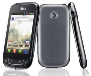 LG-Optimus-Net-Dual-P698-1.jpg