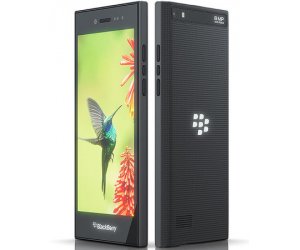 blackberry-leap-2.jpg