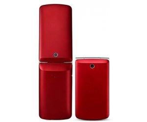 lg-g360-2.jpg