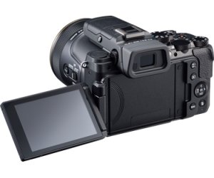 Nikon DL24-500-5.png